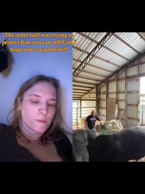 #duet with @Stafford Cattle Company #fyp #cowtiktok #bulltiktok #cattletiktok #farmtiktok #whackfuck #ohshit #ohfuck @Piney Bend Cattle 