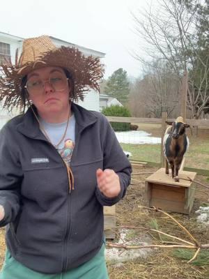 Wethers am I right? #goat #goatsoftiktok #goatworthy #farmlife #farmtok #dance #funnygoats 