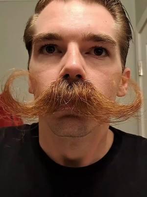 I'm so thankful the ban was short lived here in the US. I love making content and showing off the mustache for you guys #foryoupage #foryou #fypage #fyp #fypシ #fy #mustachesoftiktok #handlebarmustache #facialhair #mustachewax #mustache #beard #beardoil #handlebar #moustache #mustachestyle #grooming #mustachetok #deathgripbrotherhood 