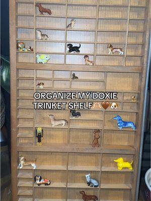 Let’s organize my dachshund trinket shelf!!🤩🤎🐶🫶🏻#dachshund #crazydachshundlady #boop #trinketshelf #antique #dachshundaddict #dachshundfinds #trinkets 