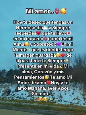 Buenos días mi amor te amo #frasesparadedicar #frasesdesmor #buenosdiasmiamor 