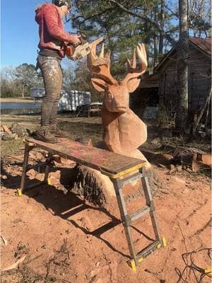 Carving a big buck from a dead oak stump #art #artist #foryourpage #fyp #foryou #cute #titok #chainsaw #woodart #statue #stihl #wood #arttok #carve #texas #buck #stihlchainsaw #oak #tree #countrylife #hunting #deerhunting 