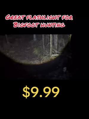 Strong flashlight #cportcharging #TikTokShop #massfowllowing #watchlive #sale #LOOK #greatdeal #trending2025 #tiktoktrendingvideo #Michigan #night hike