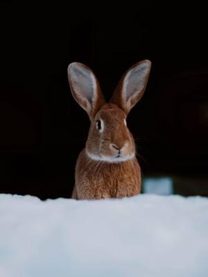 it comes in waves and im in a wave #maine #photographer #mainephotographer #portrait #family #wedding #animals #boudoir #kids #darkandmoody #impostersyndrome 