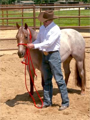 Clinton explains the design of the Downunder Horsemanship rope halter and how it encourages effective communication with your horse. Limited-time offer: Now through Wednesday, January 29th, when you buy two Halter and Lead Rope Sets, you’ll get $100 off premium No Worries Club membership. Premium membership gives you access to our entire training library 24/7. Plus, you’ll enjoy all the benefits of being a club member like discounts on our store, free tickets to tours, and access to the No Worries Club website with a built-in supportive community of horsemen just like you.  How to Score the Deal If you’re not a member yet: Add two Halter and Lead Rope Sets to your cart and a premium No Worries Club membership. Your discount will automatically be given at checkout.  If you’re a current member: Reach out to our customer service team at 888-287-7432 to place your order and renew your membership at the special rate.  Link in profile to shop the sale ⬆️ #ApplyTheMethod #downunderhorsemanship #clintonanderson #horsetrainer #horse #halter #horsemanship #tack 