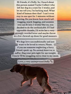 #taylorcolbert #dogsoftiktok #justiceforsky #animalcruelty 