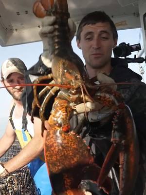 Guess we’re back!! Here’s a 2024 highlight reel! Looking forward to a fun 2025! #maine #lobsterfishing #fishing #seafood #interesting #coolcatch #rarecatch #catchoftheday #coolcatch #interesting #educate #learn #didyouknow 