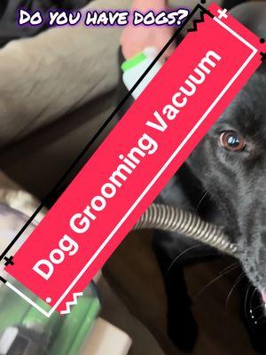 Dog Grooming Vacuum #geoorood #petgroomingvacuum #PetsOfTikTok #dogsoftiktok 