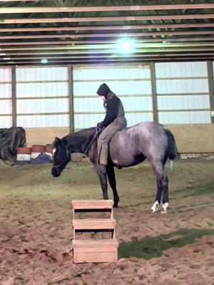 Liberty bareback & mounting block for the first time #learning #gainingtrust #bareback #halter #trusttheprocess #bonding #metallicmalicebaby #3yrold 