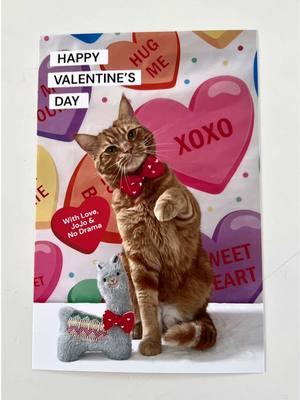 When your Mom makes Valentines from your fist bump. 😹 Happy Valentine’s Day to all of you Sweeties! 😻❤️🐈🦙 #valentine #heart #tigerjojo #nodrama #Love #foryou #cat #fistbump #smile #loveyou #lollipop #kisses #fun #catsoftiktok #friendships #sweet #videos