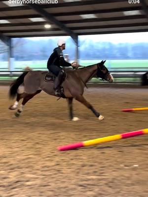 Pro Elite training 🤙🏼 🥰🎥 @derbyhorseballclub  #horseball #equestrian #sports #horses #goals 