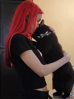 This is really hard to share. My sweet Gizmo left this world this weekend. For those of you who knew him, he was my son. My heart is broken beyond what I can express. Thank you Bear for your life. 15 years together. I love you forever. #misskrystle #restinpeace #catsofinstagram #blackcatlove #blackcatsofig #bombaycat #bombaycats #bombaycatsofinstagram