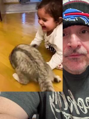 #greenscreen #duet  The cat chose violence 🤣 #cats #toddler #funnvideo #hilarious #playtime #adorable  #cute #catlover #pets #lol  #Fy#Fypunny #ironjoe #viral