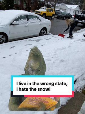 #CapCut Anyone else hate shoveling?! We just got slammed with 7 inches yesterday and now today it’s only 7 degrees! LOL.        #hatesnow #ihatesnow #snowstorm #snowday #snowshoveling #funnymeme 