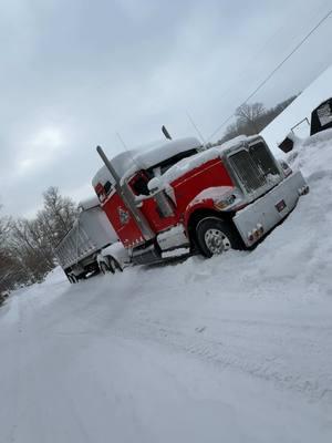 Ready for Alaska take this free trial bullshit back I’m over it 😡 #LoneWolfTransport #cornfieldcadillac #bluecollarboys #littlealaska #wvcheck #9900 