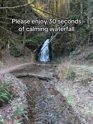 I saw this waterfall on my drive home from foraging, so I turned around to stand near it and watch the soothing water for a little while. Hopefully you’re able to find a bit of calm in this moment like I was.  #waterfall #calmingsounds #soothingvideos #pnwlife #oregon #oldgrowthforest #naturalbeauty 