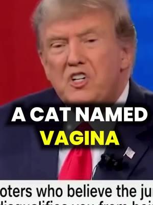 Charisma changes the game. Back in May 2023, Trump walked into a CNN town hall—a place that’s roasted him for years—like it was his fuckin living room. They hit him with tough questions, and his response? “Her cat was named vagina.” The room, probably packed with people ready to boo, ended up laughing their asses off. It was like a stand up comedy show, and in that moment, I knew: he’s coming back. Love him or hate him, you can’t deny the power of ow ning the room and controlling the energy. Charisma is undefeated. ✅Follow @thejeffyshow for more! #Charisma #communication #socialanxiety #confidence #friendship #connections #socialdynamics #socialskills #publicspeaking #networking #leadership #persuasion #bodylanguage #mindset #interpersonal #emotionalintelligence #mentorship #motivation #selfimprovement