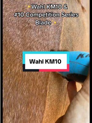 The original GOAT — Wahl KM10 🙌🏻. #horsetok #horsegrooming #horseclipping #horsegroom #horselife 