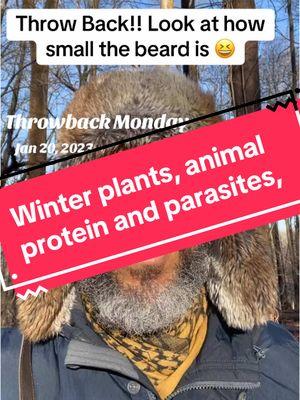 #onthisday #throwback #parasites #detox #environment #nettles #turkeytail #protein 