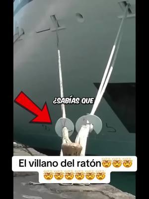 El villano del ratón🤯🤯🤯🤯🤯🤯🤯🤯🤯#raton #mar #barco #villano #SabiasQue #sabias #datoscuriosos #datos #curiosidades #fypシ #fyp 