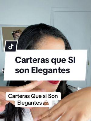 Carteras que si Son Elegantes parte 1 #carterasybolsas #bolsosycarteras #bolsoselegantes #elegante #fashiontiktok #fashiontiktokstyle #luisvuitton #maisondesabre #demellier #saintlaurent #elegancia #elegancecoach #asesoradeimagen 