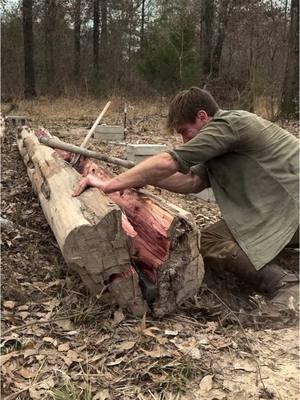 Building a Log Cabin by Hand Part 4! We need to add our first layer of logs to the new foundation we just finished! We start by splitting these logs in half! Follow for more #logcabin #cabin #cabinlife #rdr2 #bushcraft #handtools #countrytactical #survival #Outdoors #crosscutsaw 