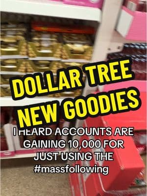 I HEARD ACCOUNTS ARE GAINING OVER 10 K FOLLOWERS JUST FOR USING THE MASS FOLLOWING HASHTAGS. NEW GOODIES AR DOLLAR TREE! #tishsfreebies #tishsglitches #massfollowing🔥🔥  #massfollowing  #massfollowing2025 #followme #followtrain #tiktokshutdown #tiktokshopping #dollartree #dollartreefinds #dollartreediy 