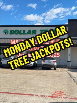 MAJOR JACKPOTS @Dollar Tree ‼️‼️‼️‼️ #dol#dollartreefindsl#dollartreehaull#dollartreebeautyl#dollartreemusthavesl#dollartreeshoppingo#shopwithmer#bargainshopperrgain 