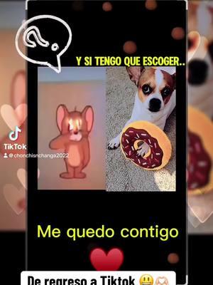 Yes de regreso a TikTok 😄🫶🏻#tiktok2025 #dogsoftiktok #perritostiktokers #tiktoklove #fypシ #staypawsitive #loveanimals #followforfollowback #makesoneonesmile #loveanimals #lovely 