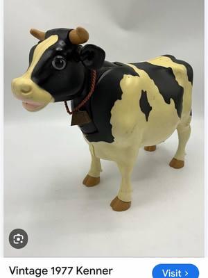 Replying to @Suzin Blankenship #tiktok #weird #concerning #70stoys #tiktokban #milkythecow 