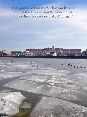 Did you know that the Sheboygan River is one of the few rivers in Wisconsin that flows directly east into Lake Michigan? 🌊 Most rivers in Wisconsin flow west or south toward the Mississippi River, thanks to the state’s sloping landscape. But along the eastern edge of Wisconsin, rivers like the Sheboygan, Milwaukee, and Manitowoc flow eastward into the Great Lakes basin. This unique flow pattern was shaped by glaciers thousands of years ago during the Ice Age. ❄️ As the glaciers retreated, they carved out valleys and directed water toward Lake Michigan. The Sheboygan River’s compact watershed and location make it a rare and special example of this eastward flow. Nature never ceases to amaze! 💧  #funfactfriday #visitsheboygan #sheboygan #wisconsin 