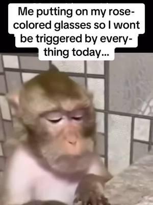 Me putting on my rose-colored glasses so I wont be triggered by everything today… #rosecoloredglases #triggers #triggered #triggerwarning #funny #funnyvideo #funnyanimals 