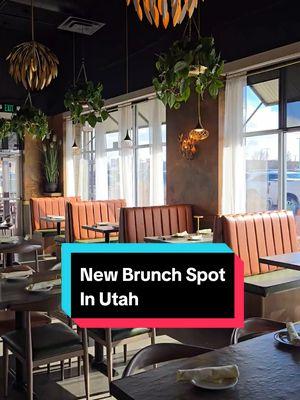 Exciting news, brunch lovers! 🥂🍳 American Fork has a brand-new spot, Ocotillo Prime, and it’s officially open as of TODAY! 🎉 This upscale eatery serves delicious Mexican food with modern flavors and traditional ingredients. From sweet waffles topped with fresh fruit to savory seafood enchiladas, chilaquiles, tacos, salads, and more, their menu is a foodie’s dream. 🌮✨ Whether you’re planning brunch or a date night, Ocotillo Prime is the perfect spot to indulge. 📍 598 W Main St, American Fork, UT 84003 Don’t wait—check it out and experience this new gem! #OcotilloPrime #NewInTown #BrunchGoals #MexicanFlavors #americanfork #mexicanrestaurant 