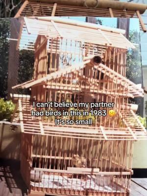 It’s wild that we decided it was ok for birds to not fly. I am enjoying matching up pictures to the stuff we found in my partner’s hoarded childhood home. #finches #birdcage #1980s #vintage #antique 