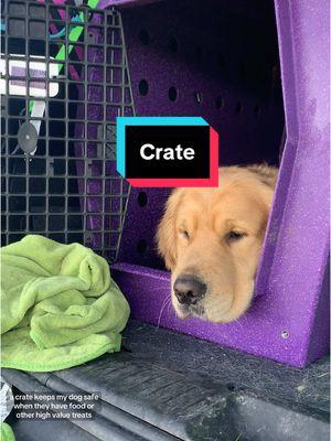 Replying to @777.Power_Woman.777 nothing barbaric or torturous about a properly used crate.  Also I stopped prepping new content with the looming ban so prepare for a bunch of saved comment drafts. #dogs #dogtok #dogsoftiktok #DogTraining #crate #cratetraining #kenneltraining #kennel #ruffland #dogkennel #training #trainyourdog #veterinary #doggrooming 