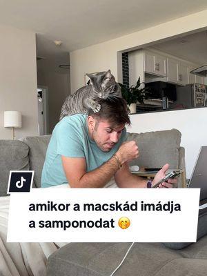 csinálj a macska ezt még valakinél? 😂😅🤪🤭 #macska #cica #vicces #viccesvideo #nekedbe #funnymoments #funnyvideo 