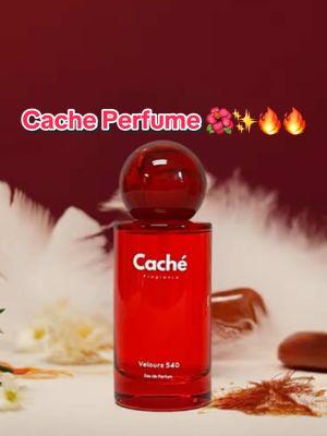 #creatorsearchinsights this can be a perfect gift for anyone 😊✨ #perfumetiktok #perfumes #perfumereview #cache #fragrancetiktok #strongscents #fyp #trending #spotlightfinds #tiktokmademedoit #TikTokShop #tiktokfinds #tiktokmademetryit 