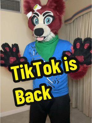 We’re alive and back for more fun and laughter! #furry #owa #foryou #petethefox #fyp #cutefurry #furry4life #partialfursuit #furryfandom #4upage #furryproud #furrytiktok #furrytrash 