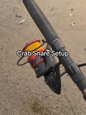 Me and K rod and reel setups for crab snaring. We are throwing  8 plus Oz snares here for Rock Crabs. . 📍San Francisco, CA . 🎥 Samsung S24 Ultra  . #outsidewithallen #rockcrab #crab #crabs #crabsnaring #crabsnare #crabfishing #crabbing #crabber #pierfishing #bayareafishing #sanfrancisco #sanfranciscobay #california #sanfranciscobayarea #sfbayarea #fishing #fisherman #fishingtrip #fishingtime #fishingvideo #fishingvideos #fishingreel #fishinggear #withgalaxy #madewithcc