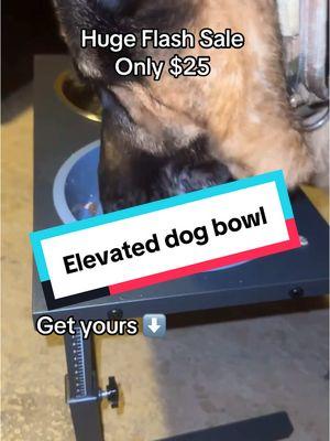 Make mealtime comfortable and healthy for your pets! #doghealthtips #elevateddogbowl #dogbowls #elevatedbowl #germanshepherd #musthavepetproducts #dogowners @Pecute Official 