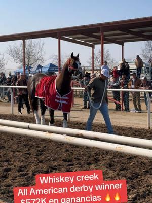 EL WHSIKEY CUADRA DOBLE A/ JACALITOS ANTES DE SU CARRERA CONTRA EL CARDENAL CUADRA LEMA .. #quarterhorse #california #caballos #event #cuartodemilla #viralvideo #champion #horse #arizona #mexico #washington 