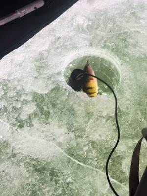 Fish on let’s go!!!! #icefishingminnesota #icefishingnation #icefishing  #perch #perchfishing #fishtok #fyp #foryoupage #fypシ #fypage 