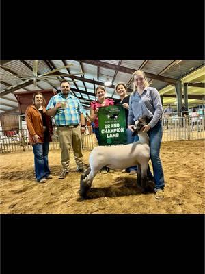 Congrats to the team on a successful day! 📍Thumpin N The Pine Jackpot Show 🏆 Grand Champion Ring A and B- Emily Bynum Placed by: Chad Walker Livestock  Bred by: burch livestock llc #stockshowdreamchasers #chadwalkerlivestock #burchlivestockllc #stockshowlife #ffa #4h #mytype #massfollowing #livestockshow #mlk 