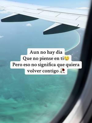 😢🥀#aunpiensoenti #noquierovolver #noquierovolvercontigo #frasesmotivadoras #frases_aesthetic #frases_de_todo #lagunas #pesopluma #lagunaspesopluma 