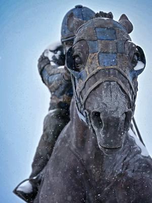 Triple Crown Winner, Secretariat #horseracing #horseracingphotography #secretariat 