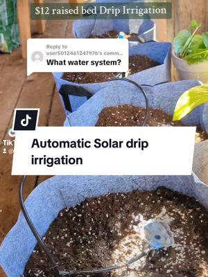 Check out this new solar automatic drip system! this would be perfect for porch pots, indoor plants, raised beds, or any garden space! The one link below has great customer service and free shipping.  Grab yours today before they sell out again! #solardripirrigation #dripirrigation #raisedgardenbed #porchgarden #indoorplants #smallgarden #newgardener #greenhouse #growfood #growflowers 