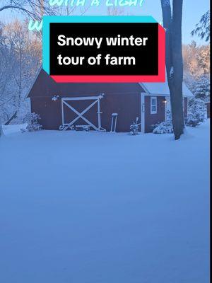 #snowy #tour of #farm #farmlife #garden #homestead #sunflowerroom #koipond #orchard #christmastree #winter #spring #sunrise #farmersteve727 #connecticut 