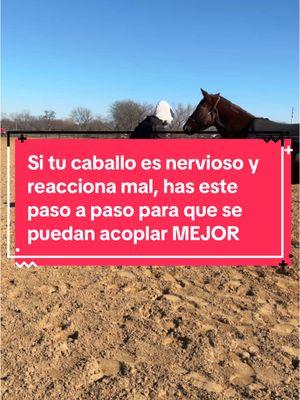 #challengeperformancehorses #godfirst #win #caballos #vaquero #vaquera #wthp #escaramuza #charro #barriles 