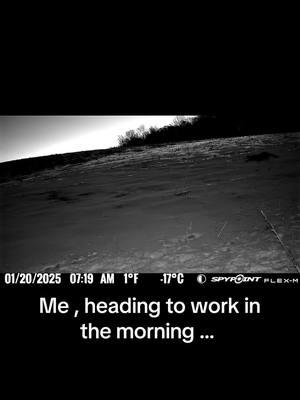 Man I hate that ! It’s almost every single day . I started taking pics on my phone to help remind myself that yesss I did turn the stove off  😂 #massfollowing🔥🔥 #coyote #farmland 