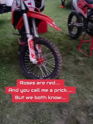 I rhyme all the time.  #POETRY  #ROSES #ARE #RED #PRICK #TAKEIT #HILLCLIMB #450 #BRAAP #fypシ 